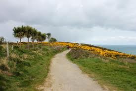 The Summit in Howth